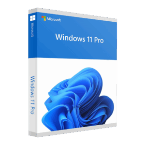Windows 11 Pro License
